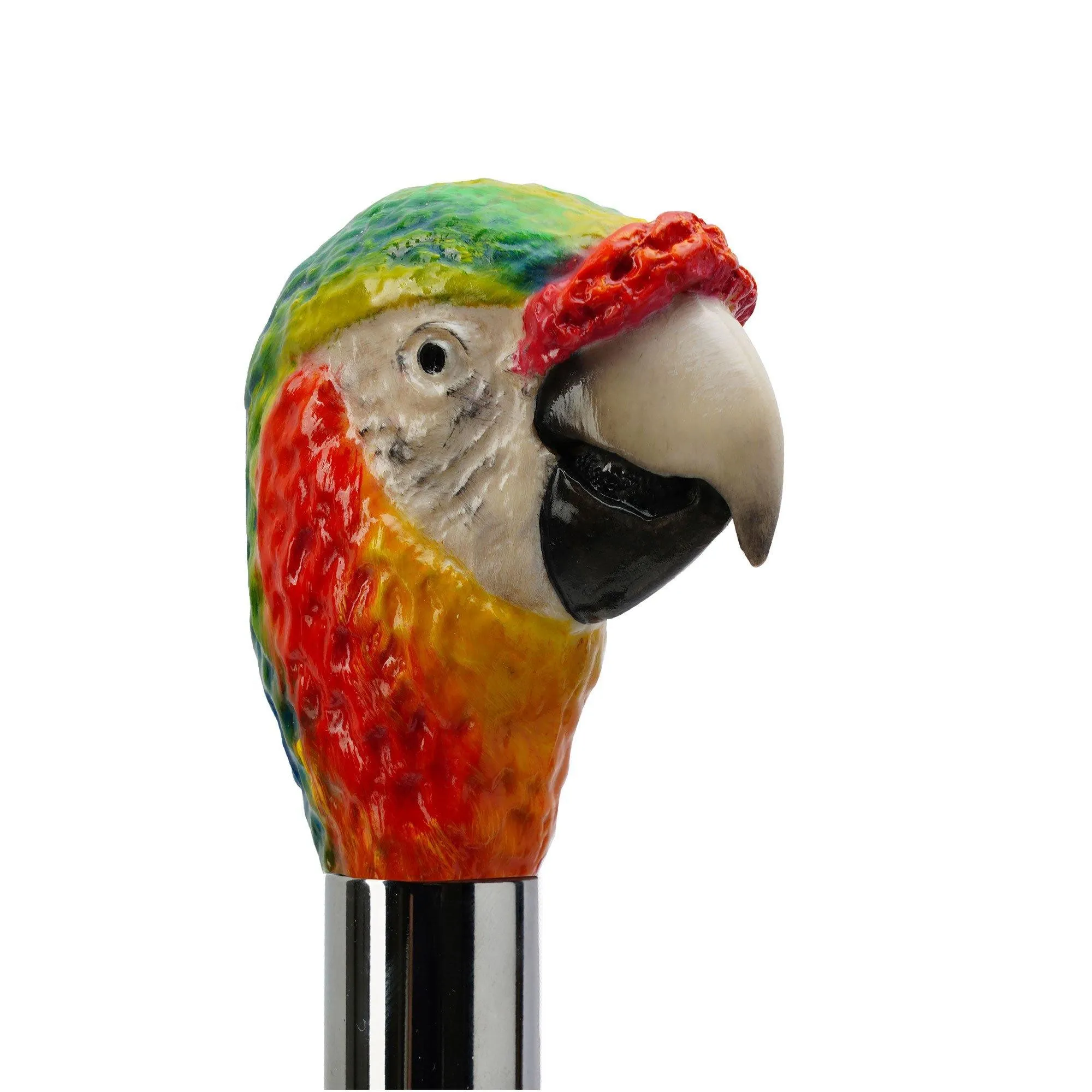Parrot Shoehorn
